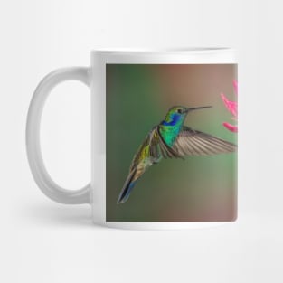 Green Violetear Hummingbird Mug